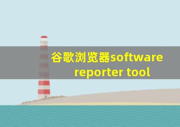 谷歌浏览器software reporter tool